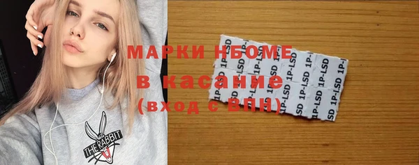МДПВ Дмитриев
