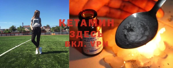 гашик Дмитровск