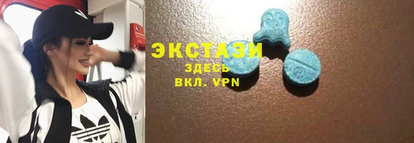 мдпв Тавда
