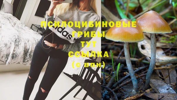 МДПВ Дмитриев