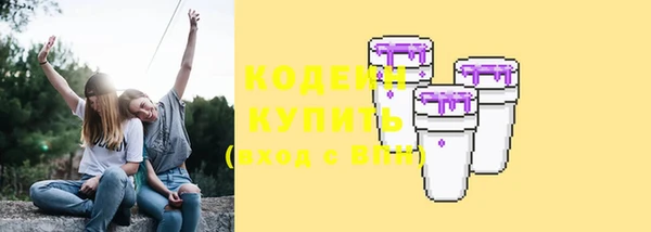 гашик Дмитровск