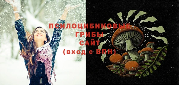 гашик Дмитровск