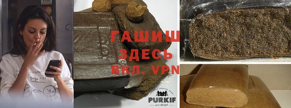 гашик Дмитровск