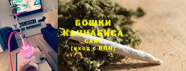 гашик Дмитровск