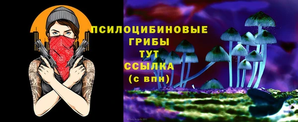 МДПВ Дмитриев