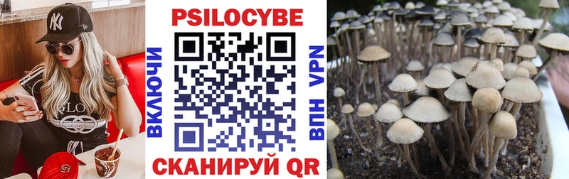 Купить  Новокубанск  Галлюциногенные грибы мухоморы 